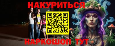 дмт Бийск