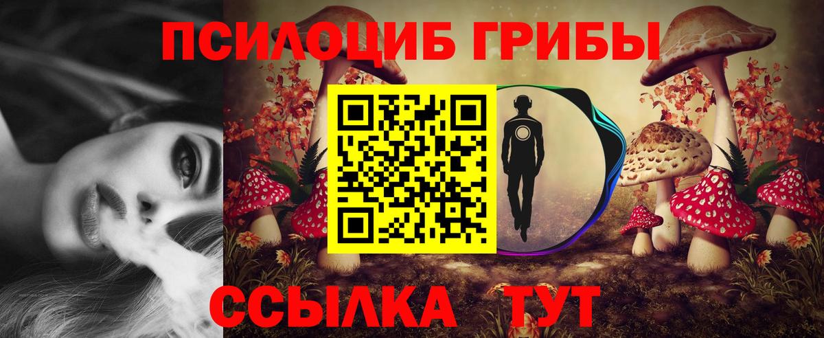 Кандалакша  Псилоцибиновые грибы Psilocybine cubensis  Вход с VPN 