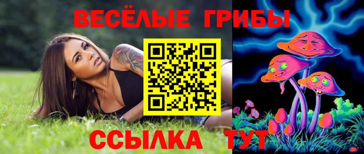 Псилоцибиновые грибы Psilocybine cubensis Кандалакша